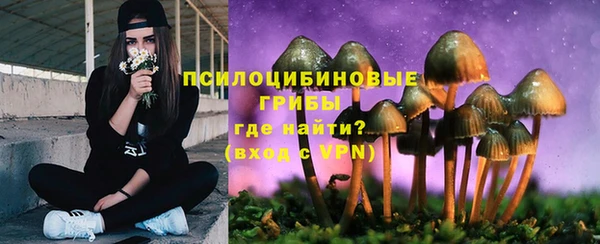 эйфоретик Магадан