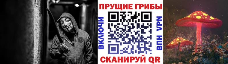 Галлюциногенные грибы Cubensis Дальнегорск