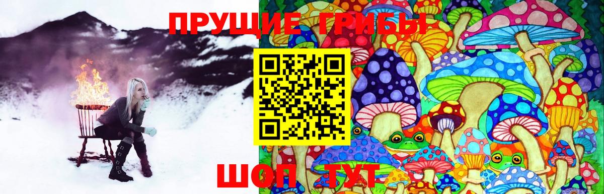 Псилоцибиновые грибы Cubensis Дальнегорск