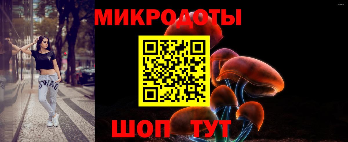 Псилоцибиновые грибы MAGIC MUSHROOMS  продажа наркотиков  Дальнегорск  Вход с VPN 